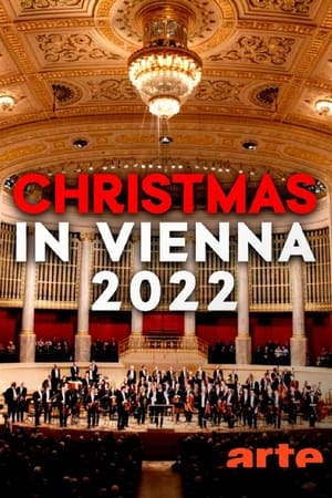 Image Christmas in Vienna 2022