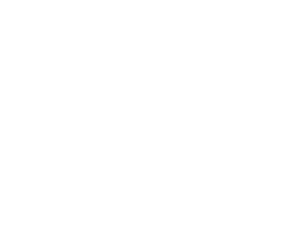 The Thorn Birds