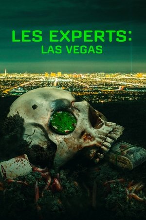 Les Experts : Las Vegas movie poster