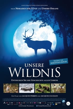 Poster Unsere Wildnis 2016