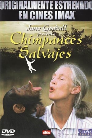 Imax - Chimpances Salvajes