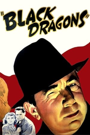 Poster Black Dragons 1942