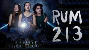 Room 213 11