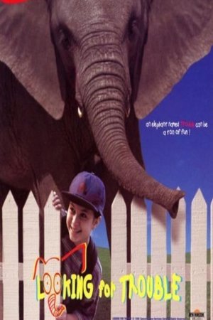 Poster Looking for Trouble 1996
