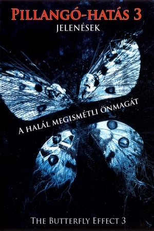 Pillangó-hatás 3 - Jelenések (2009)