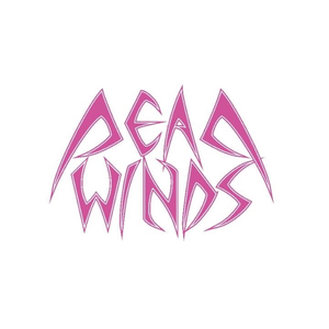 Logo Dead Winds Production