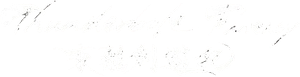 Thunderbolt Fantasy