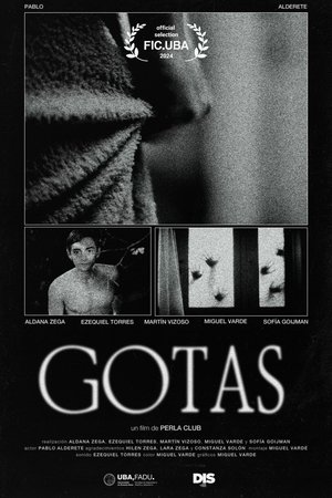 Póster oficial de la película Gotas