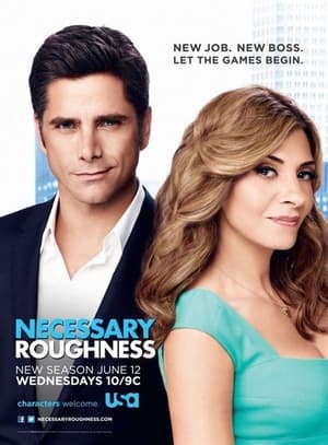 Necessary Roughness: Season 3