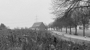 sie schaute in die ferne