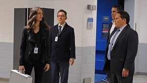Vigilados, Person of Interest Season 4 Episode 11
