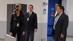 Vigilados, Person of Interest: 4×11