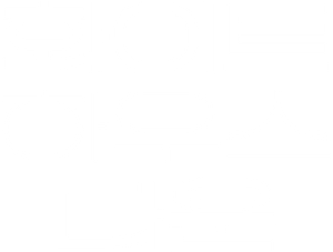화이트 하우스 다운
