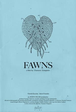 Image Fawns