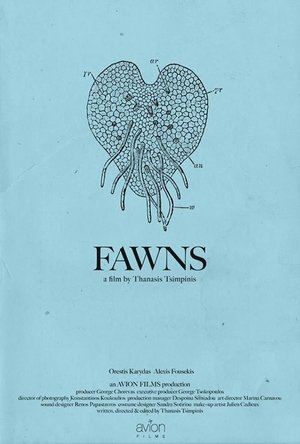 Image Fawns