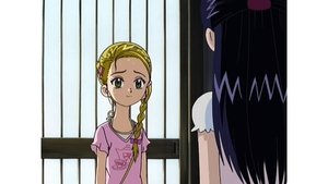 Pretty Cure: 2×25