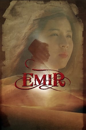 Poster Emir (2010)