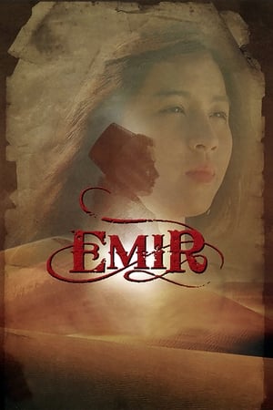 Poster Emir 2010