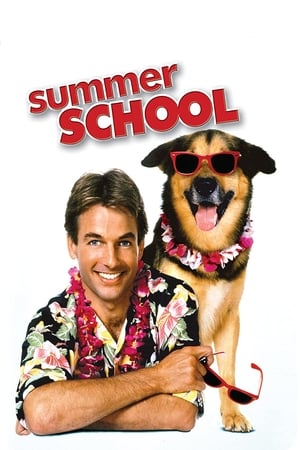 Poster Summer School 1987