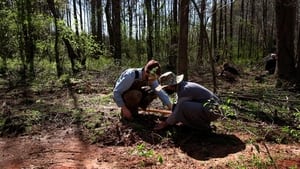 Atlanta Forest Garden: Four Days of Work film complet