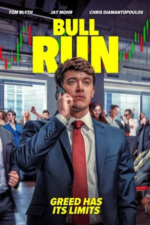 Poster Bull Run 2024