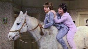 The Horse Show