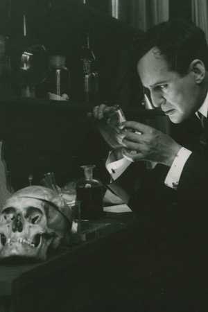 Skuggan av ett brott