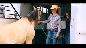 Episode 37