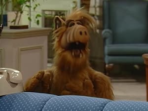 ALF Border Song