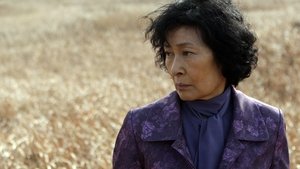 Mother (2009) Korean Movie