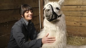 Animal Control Skunks and Llamas