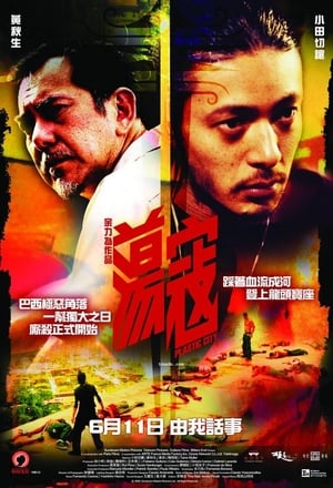 Poster 荡寇 2009