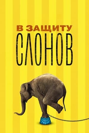 Poster В защиту слонов 2013