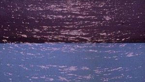 Backdrop