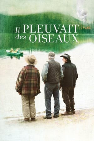 Il pleuvait des oiseaux 2019