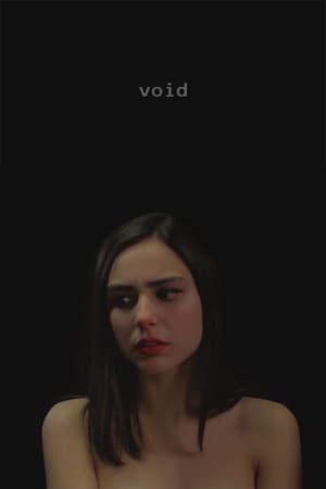 Poster Void (2017)