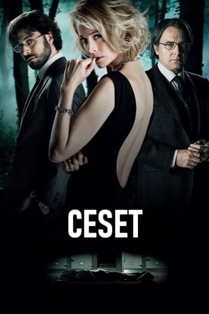 Poster Ceset 2012