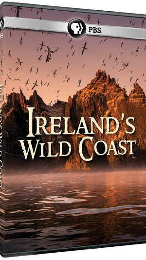 Ireland's Wild Coast
