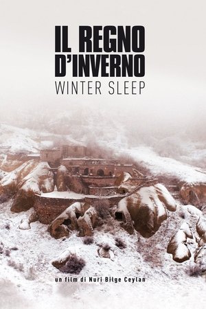 Il regno d'inverno - Winter Sleep (2014)