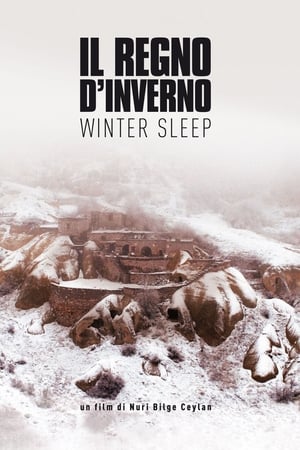 Poster Il regno d'inverno - Winter Sleep 2014