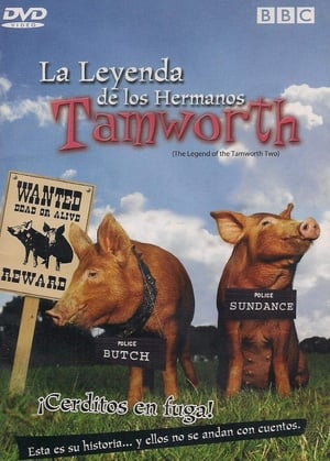 The Legend of the Tamworth Two poster