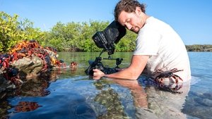 The Making of The Americas