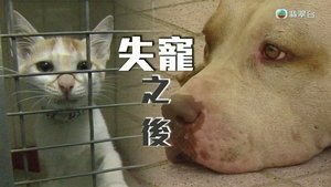 Episode 260
