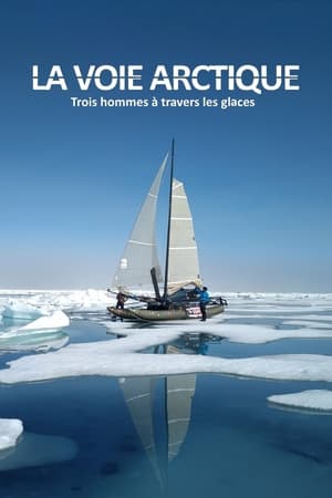 Poster La Voie arctique - Trois hommes à travers les glaces (2020)