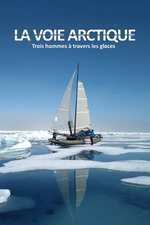 Poster La Voie arctique - Trois hommes à travers les glaces 2020