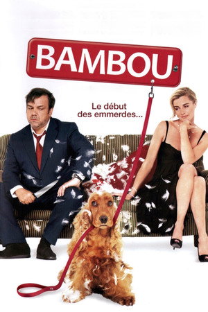 Bambou 10