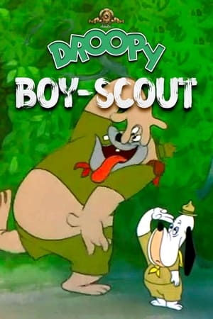 Image Droopy Boy-Scout
