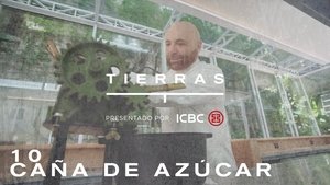 Episode 10
