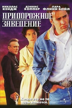 Придорожное заведение 1993