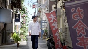 Journeys in Japan: 11×14